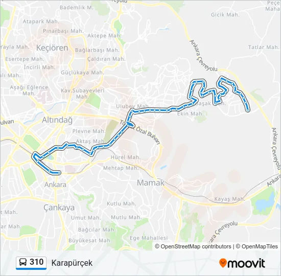 310 Bus Line Map