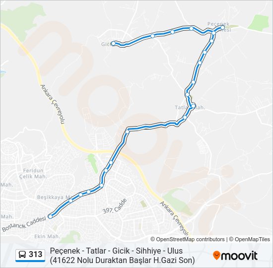 313 otobüs Hattı Haritası