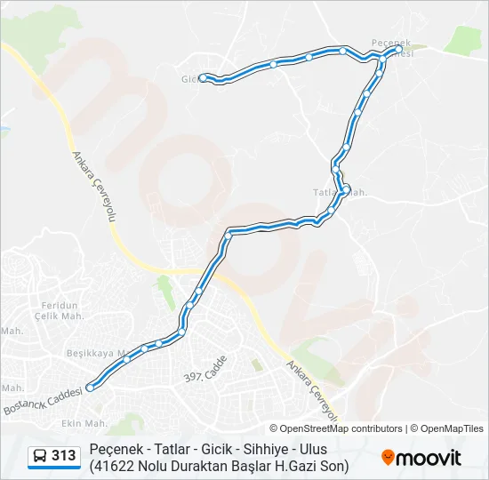 313 Bus Line Map
