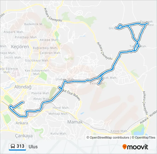 313 Bus Line Map