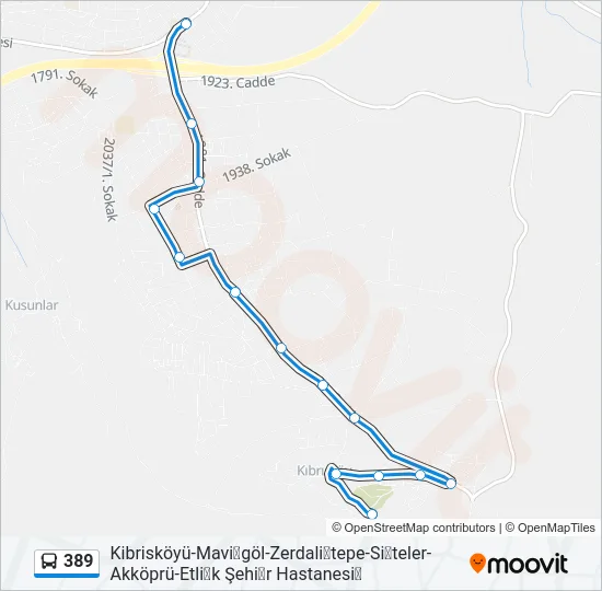 389 Bus Line Map