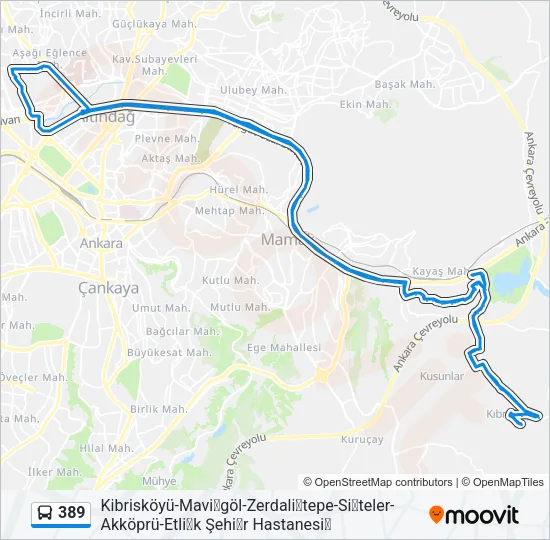 389 Bus Line Map