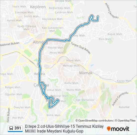 391 Bus Line Map