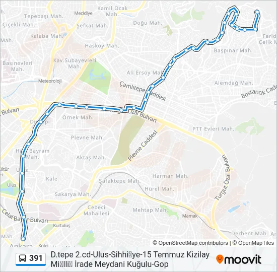 391 Bus Line Map