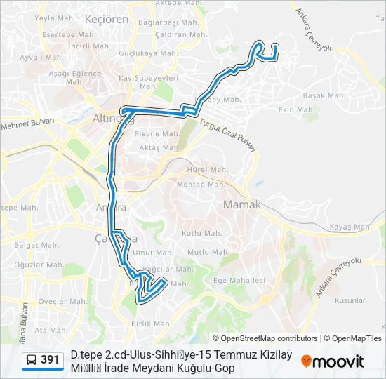 391 Bus Line Map