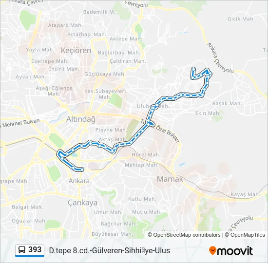 393 Bus Line Map