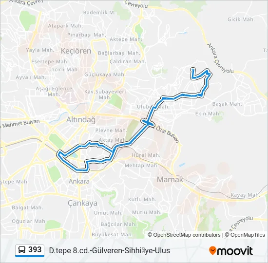 393 Bus Line Map
