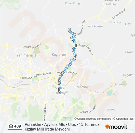 439 Bus Line Map