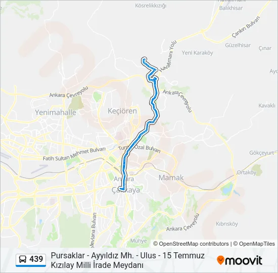 439 Bus Line Map