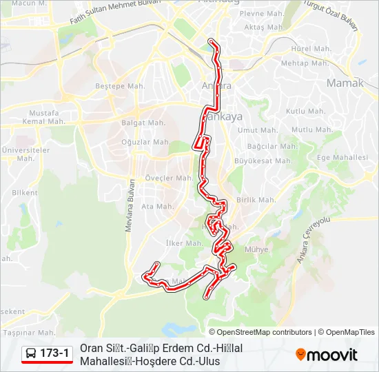 173-1 Bus Line Map