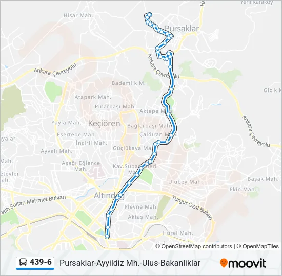 439-6 Bus Line Map