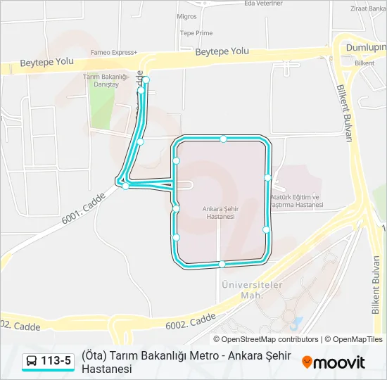113-5 Bus Line Map