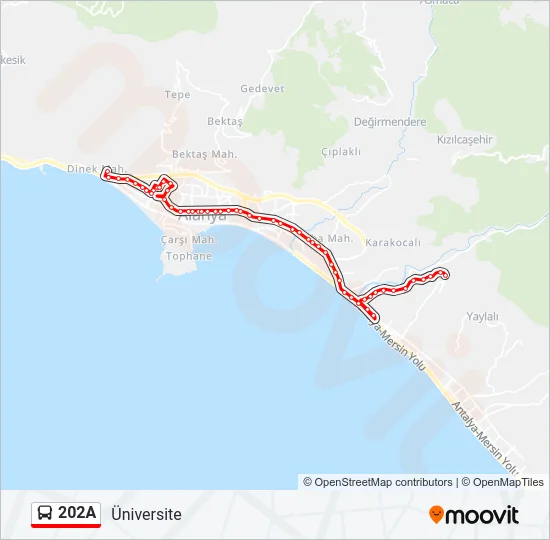 202A Bus Line Map