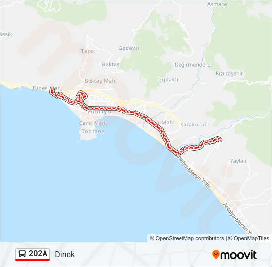 202A Bus Line Map