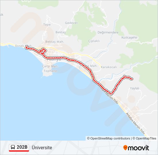 202B otobüs Hattı Haritası