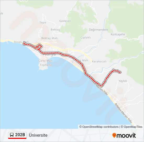 202B Bus Line Map