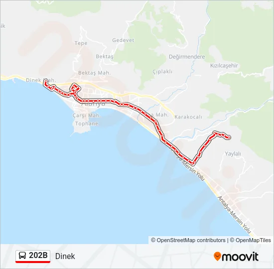 202B Bus Line Map