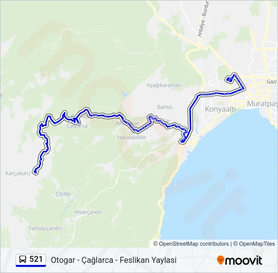 521 Bus Line Map