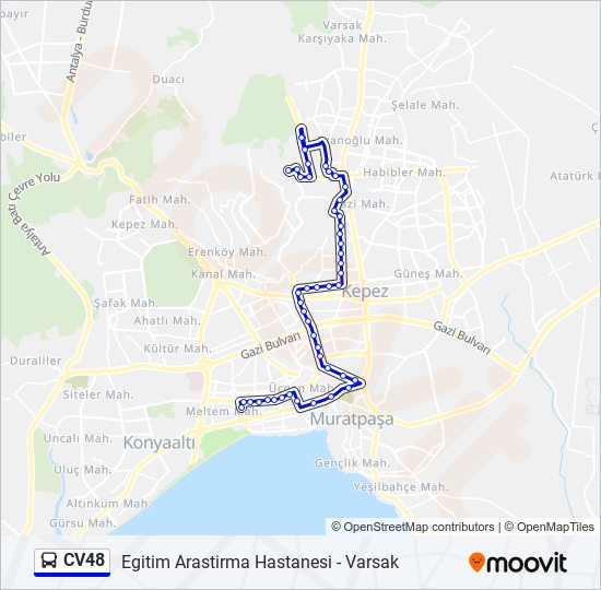 CV48 bus Line Map