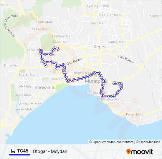TC45 Bus Line Map