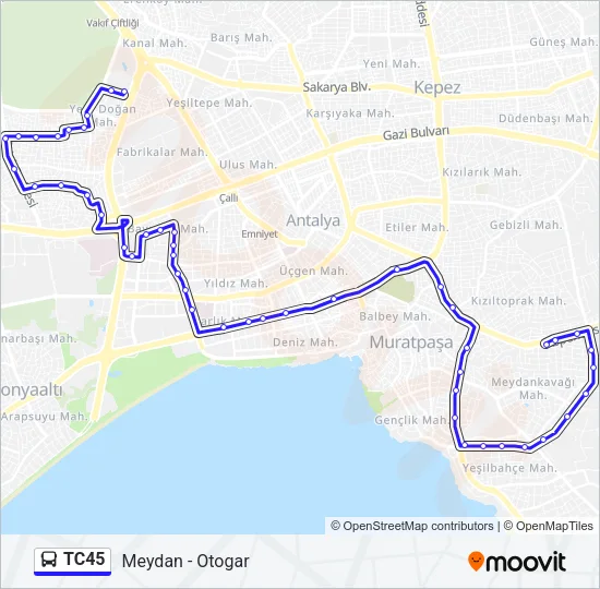 TC45 Bus Line Map