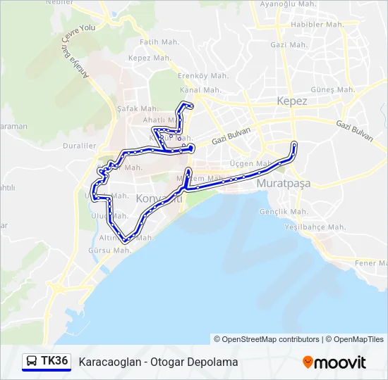 TK36 Bus Line Map