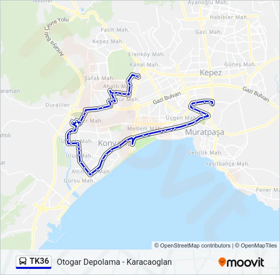 TK36 Bus Line Map