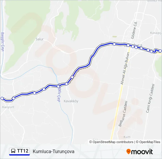 TT12 Bus Line Map
