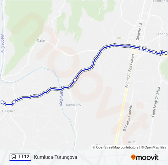 TT12 Bus Line Map