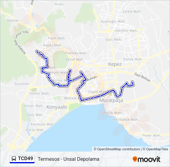 TCD49 Bus Line Map