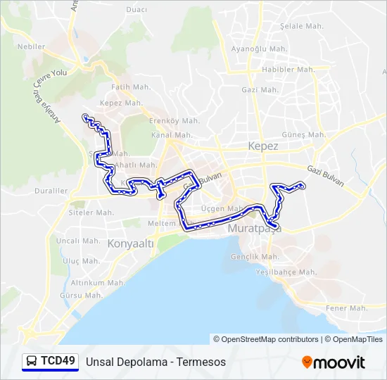 TCD49 Bus Line Map