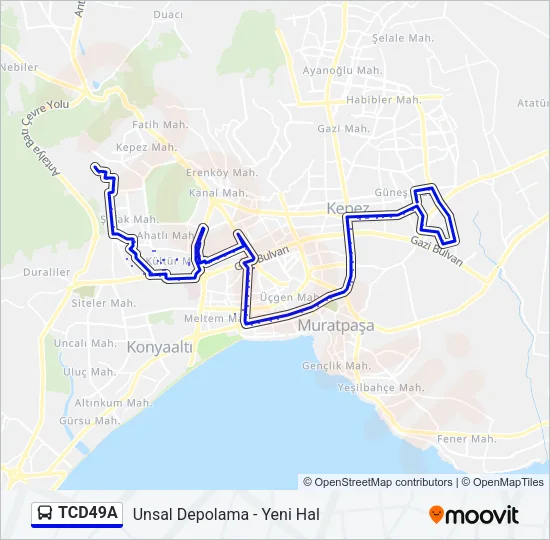 TCD49A Bus Line Map