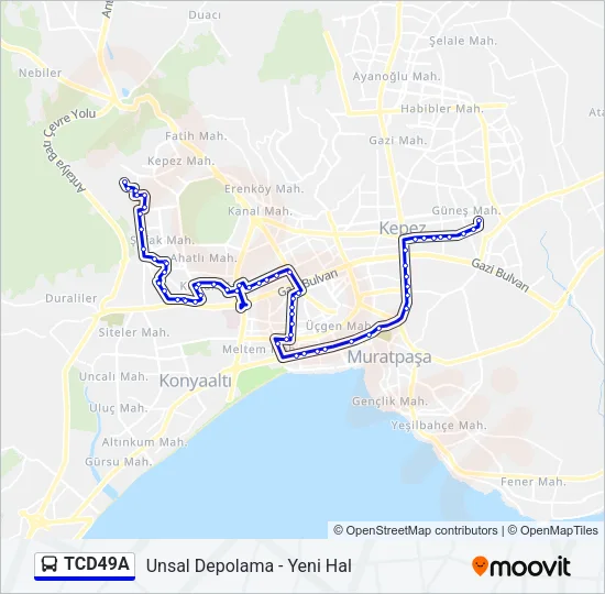 TCD49A Bus Line Map