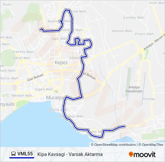 VML55 Bus Line Map
