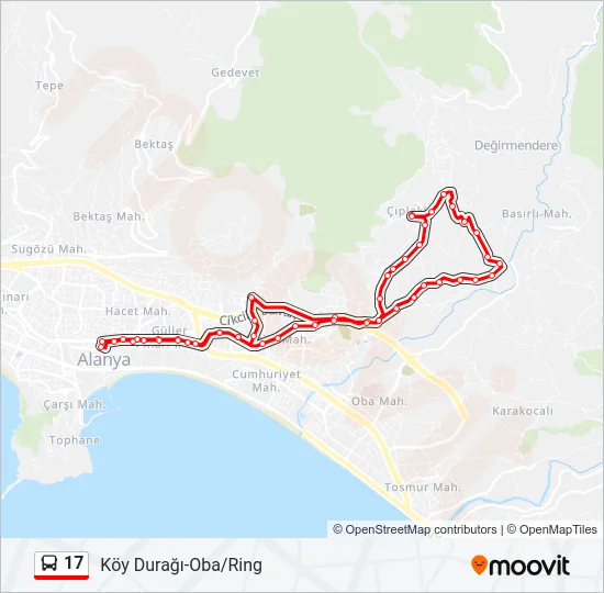 17 Bus Line Map