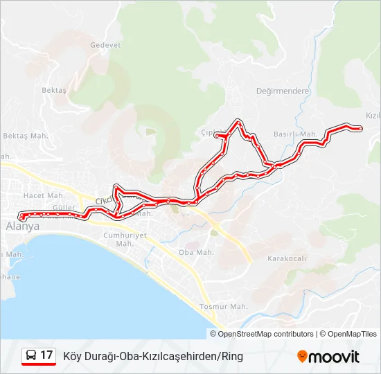 17 Bus Line Map