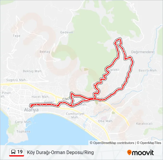 19 Bus Line Map