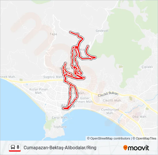 8 Bus Line Map