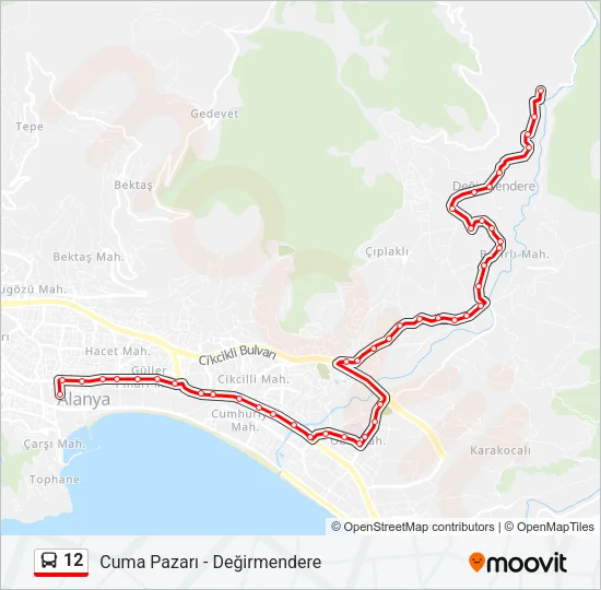12 Bus Line Map