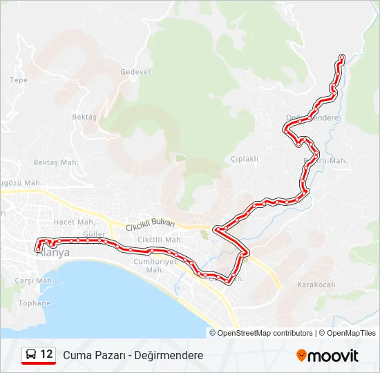 12 Bus Line Map