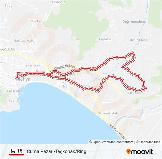 15 Bus Line Map