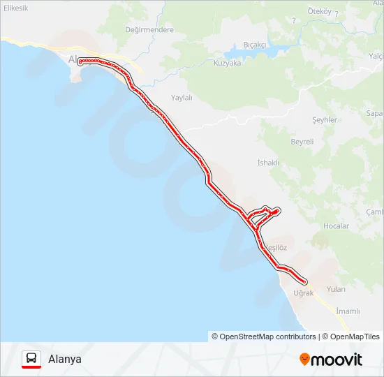 DEMIRTAŞ Bus Line Map