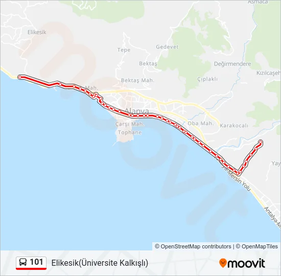 101 Bus Line Map