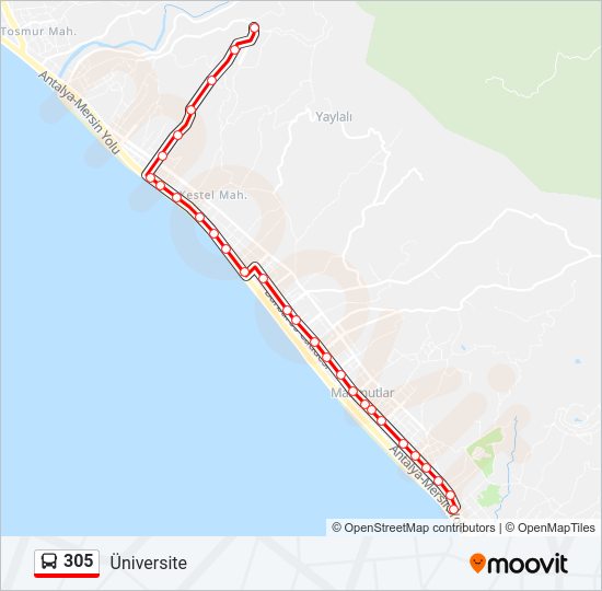 305 otobüs Hattı Haritası