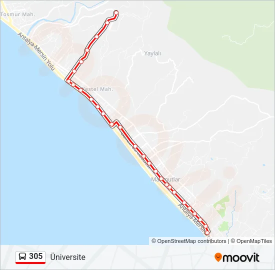 305 Bus Line Map