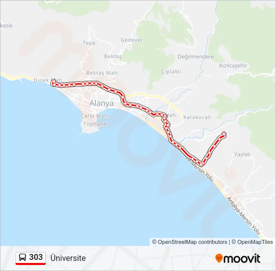 303 Bus Line Map