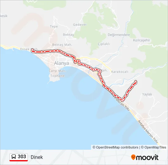 303 Bus Line Map