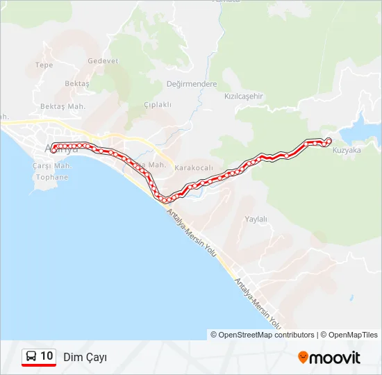 10 Bus Line Map