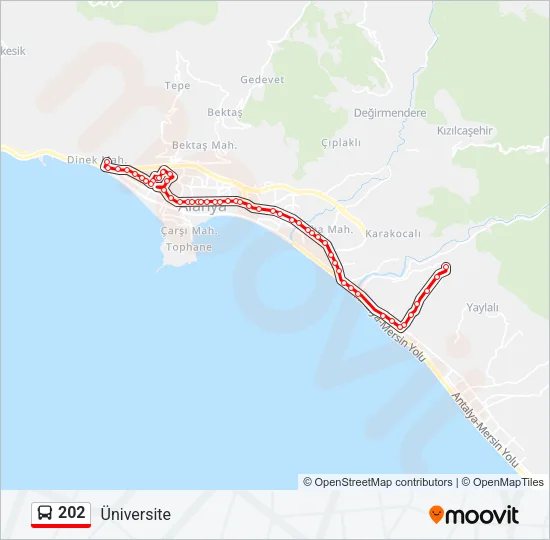 202 Bus Line Map