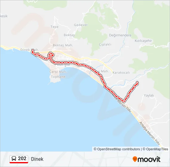 202 Bus Line Map